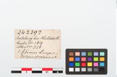 Etiketten zu Eisenlanzenspitze (NHMW-PRAE-024239a)